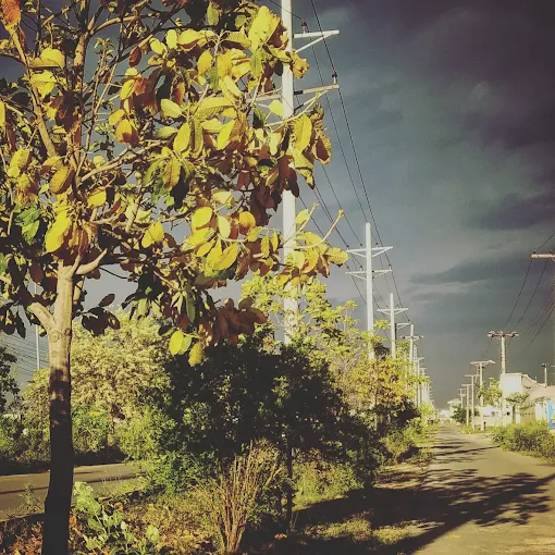 3 marla plot for sale jubilee town